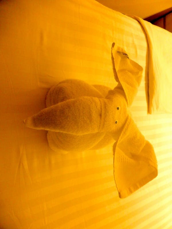 Elephant Towel Animals - Amsterdam