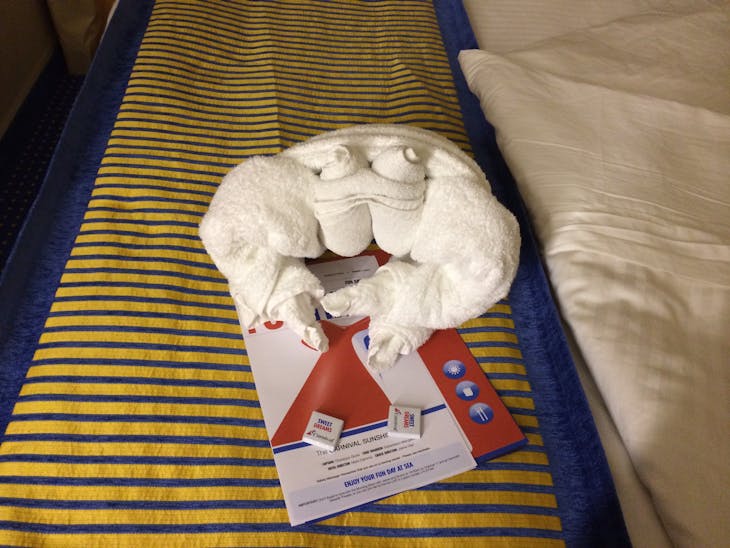 Towel animal - Carnival Sunshine