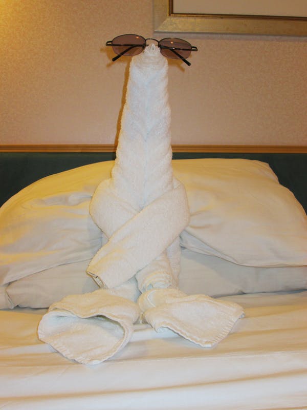 One of the many towel art. - Freedom of the Seas