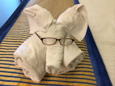 towel animal