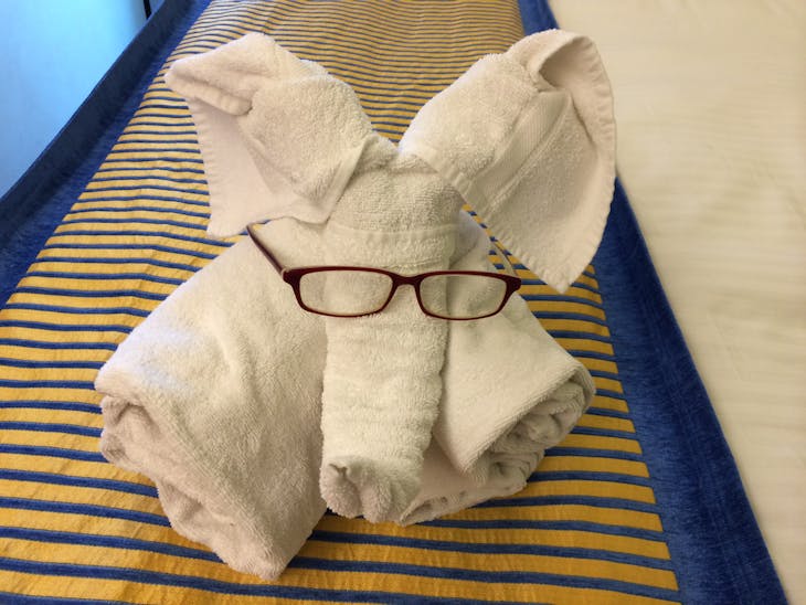 towel animal - Carnival Sunshine