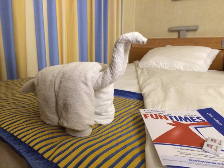 towel animal - Carnival Sunshine