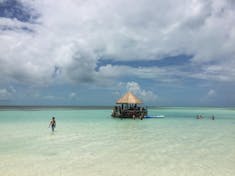 Cococay (Cruise Line's Private Island) - Floating Bar