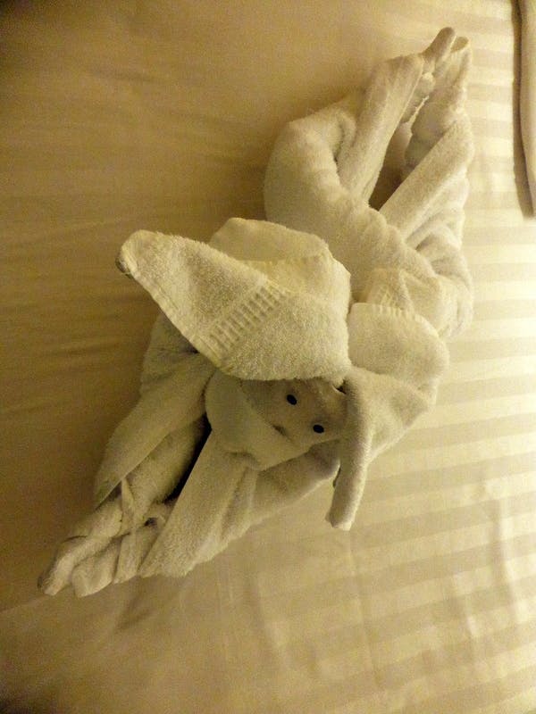 Bunny Towel Animal - Amsterdam