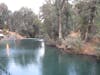 Jordan River--Many tourist baptisms here