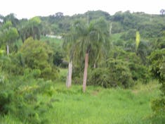San Juan, Puerto Rico - Rain Forest View