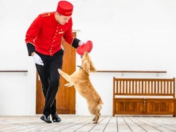 Kennels Photo